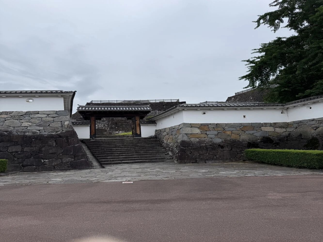 画像2589